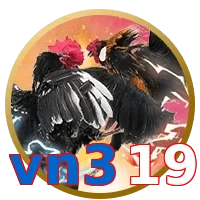 vn319