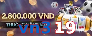 vn319