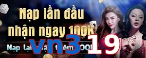 vn319
