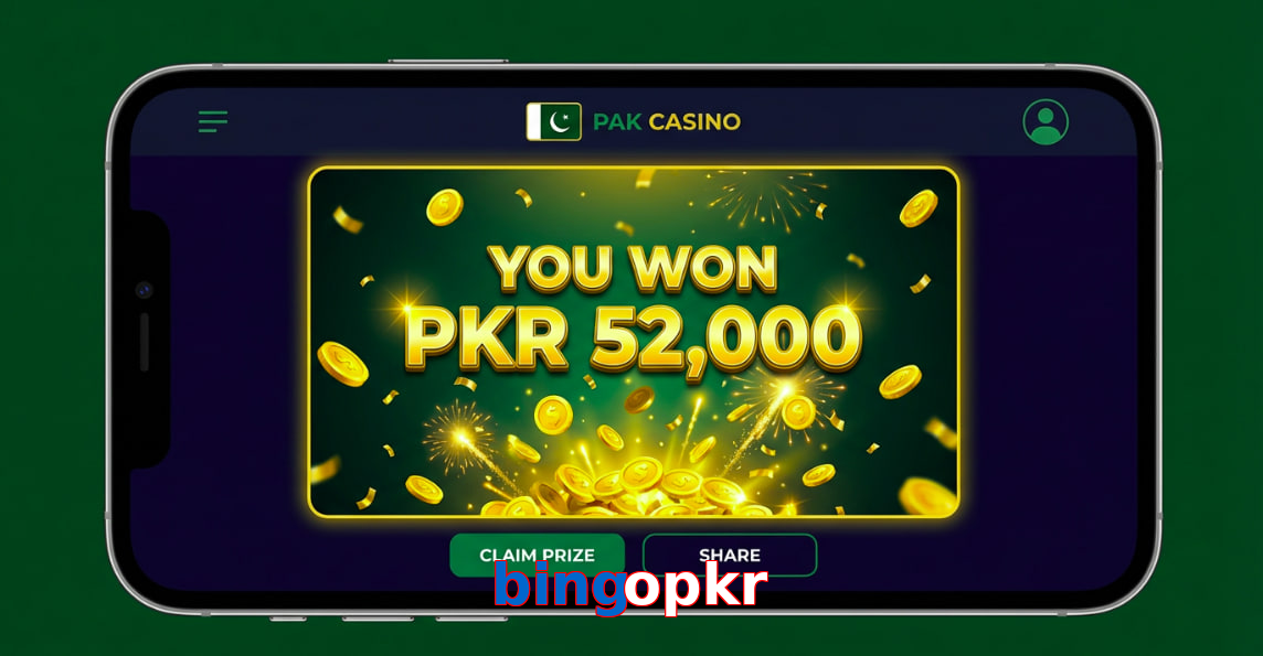 Payment and PKR controls in Bingopkr